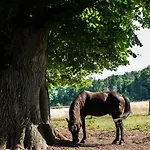 Empire By Interhome Apartment Granges-pres-Marnand