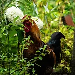 Empire By Interhome Apartment *