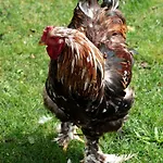 Apartment Empire By Interhome *