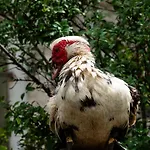 Empire By Interhome * Granges-pres-Marnand