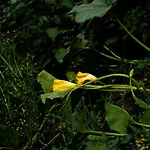 Empire By Interhome Apartment Granges-pres-Marnand