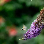 Empire By Interhome Apartment