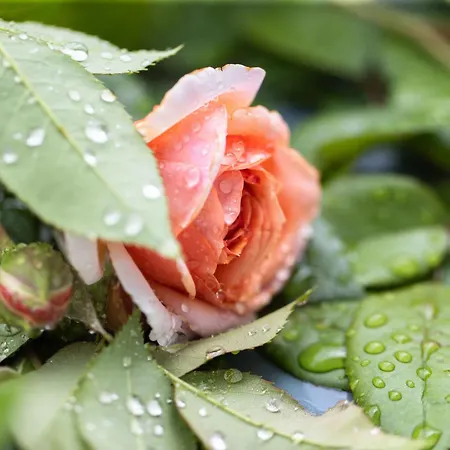 Apartamento Empire By Interhome