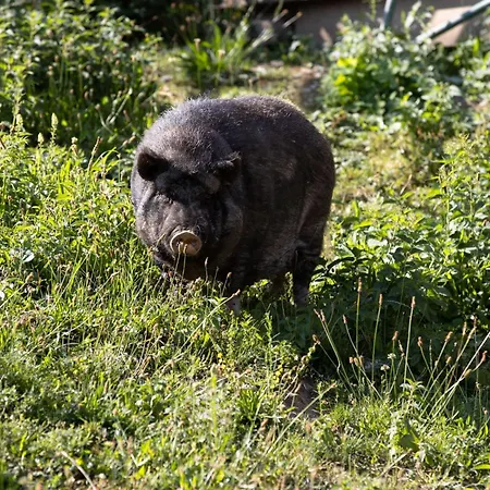 Apartamento Empire By Interhome *