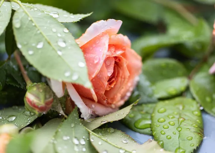 Apartamento Empire By Interhome