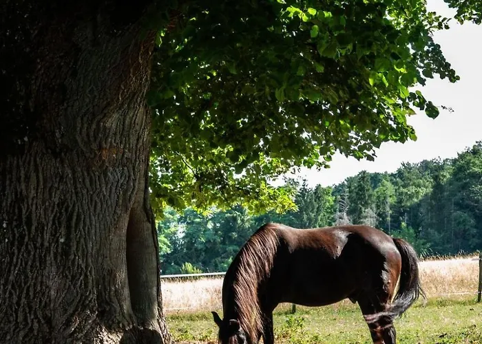 Empire By Interhome Daire Granges-pres-Marnand