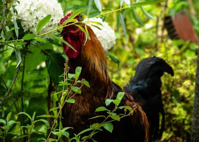 Empire By Interhome Apartamento *