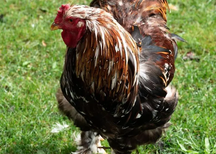 Apartamento Empire By Interhome *