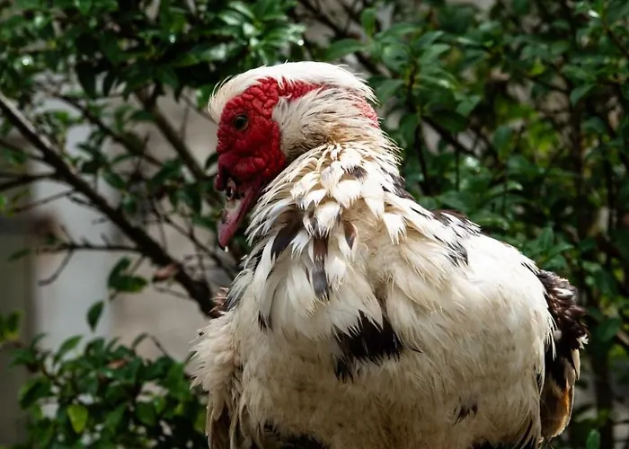 Empire By Interhome * Granges-pres-Marnand