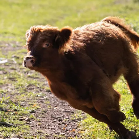 Apartmán Empire By Interhome Granges-pres-Marnand