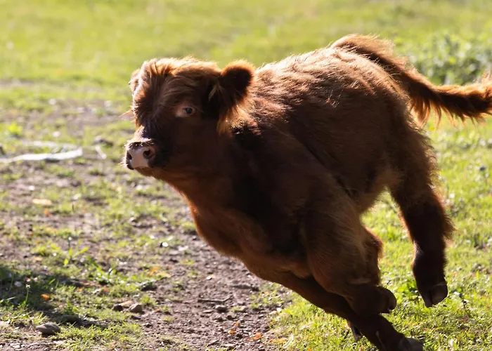 Apartmán Empire By Interhome Granges-pres-Marnand