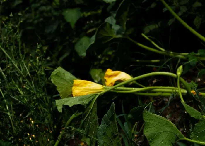 Empire By Interhome Apartmán Granges-pres-Marnand